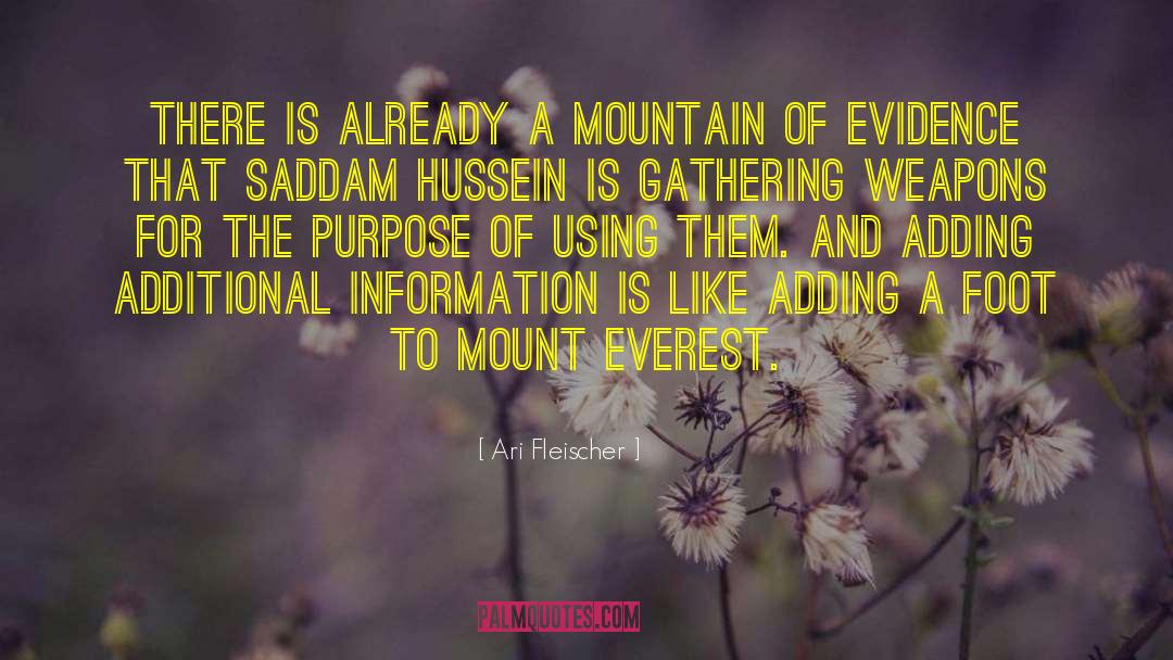 Ari Fleischer Quotes: There is already a mountain