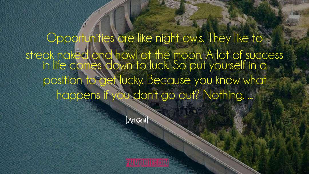 Ari Gold Quotes: Opportunities are like night owls.