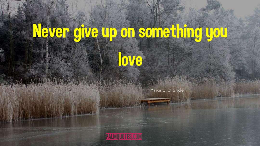 Ariana Grande Quotes: Never give up on something