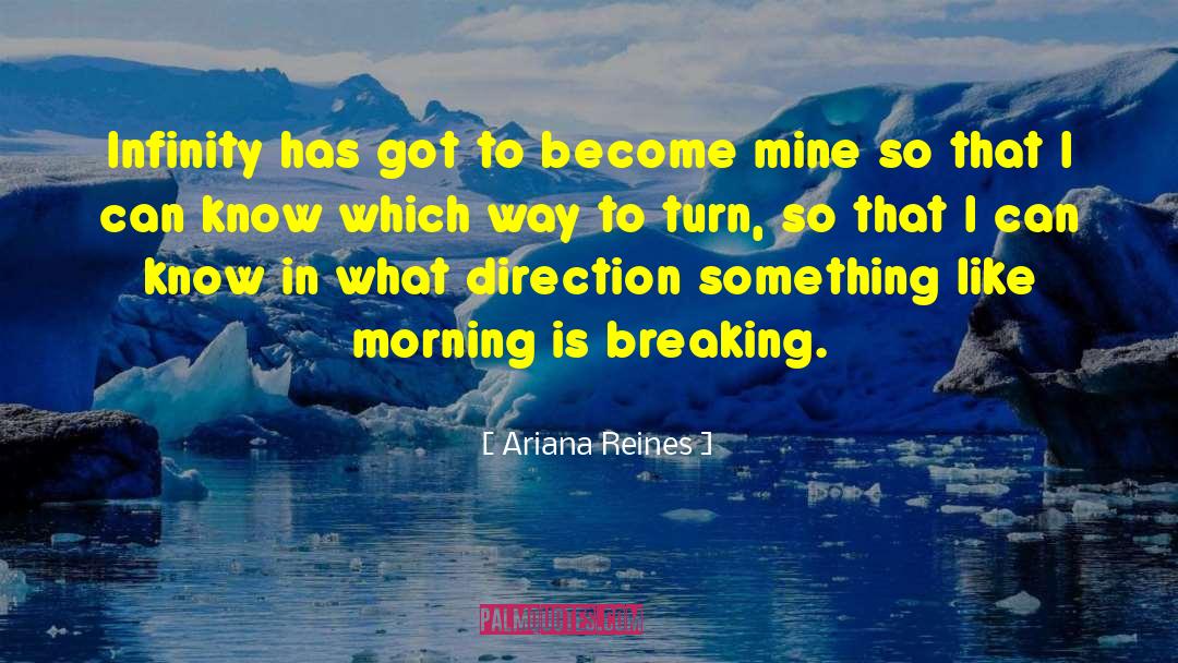 Ariana Reines Quotes: Infinity has got to become