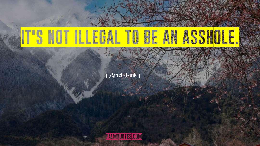Ariel Pink Quotes: It's not illegal to be