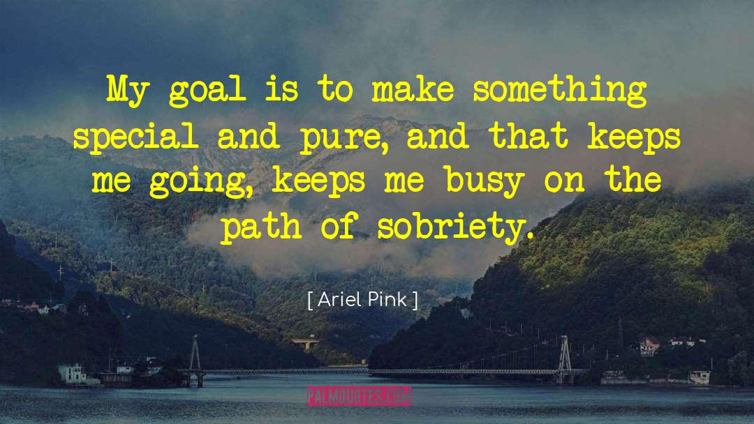 Ariel Pink Quotes: My goal is to make