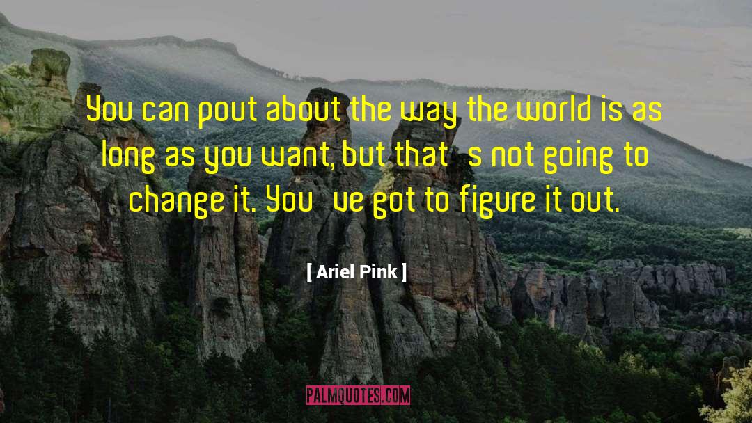 Ariel Pink Quotes: You can pout about the