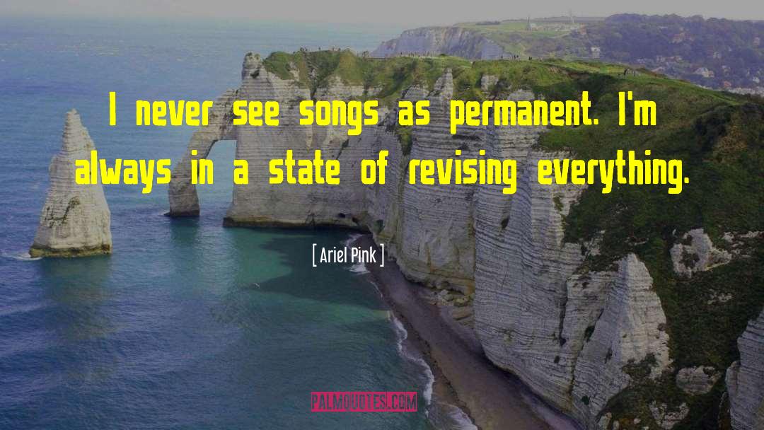 Ariel Pink Quotes: I never see songs as