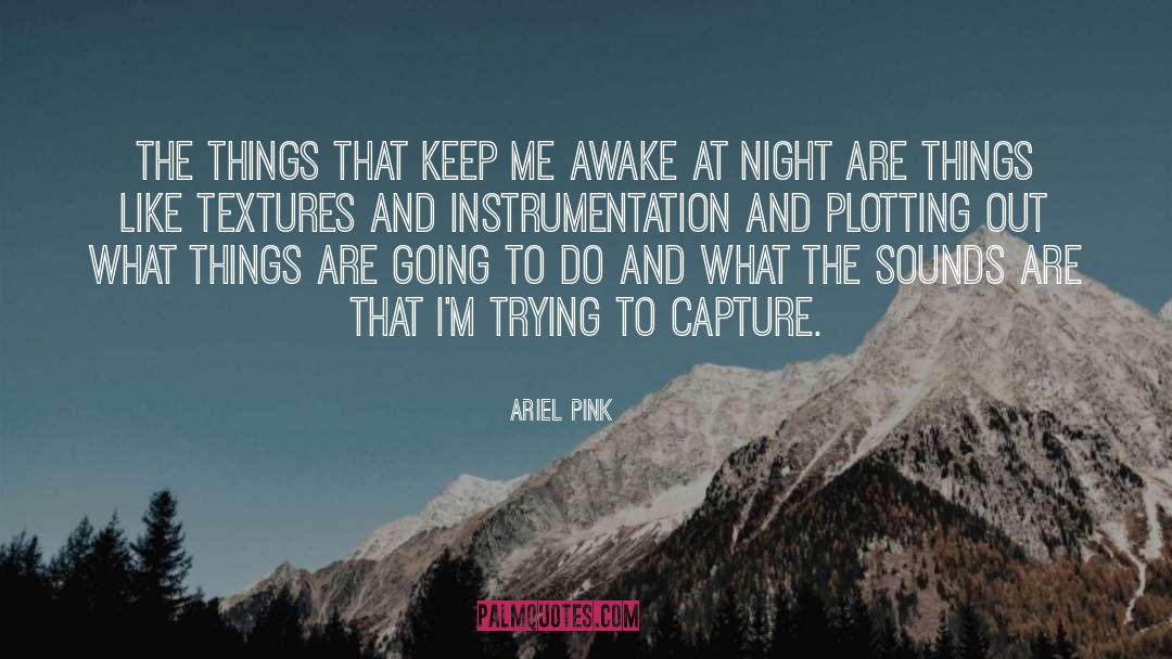 Ariel Pink Quotes: The things that keep me