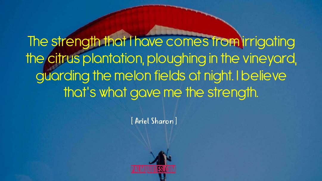 Ariel Sharon Quotes: The strength that I have