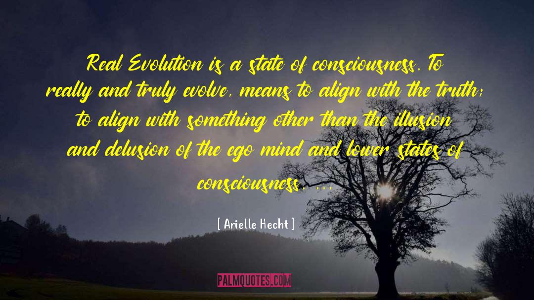 Arielle Hecht Quotes: Real Evolution is a state