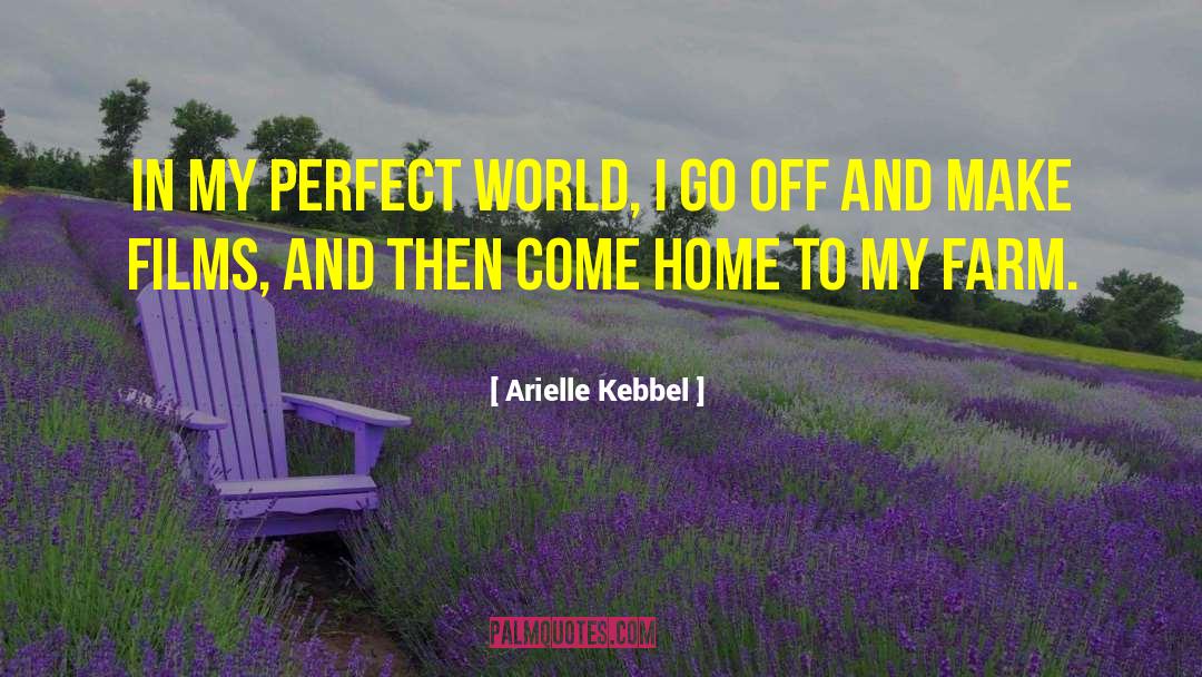 Arielle Kebbel Quotes: In my perfect world, I