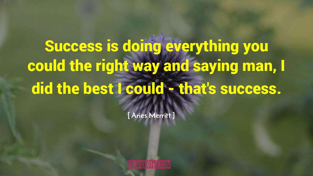 Aries Merritt Quotes: Success is doing everything you
