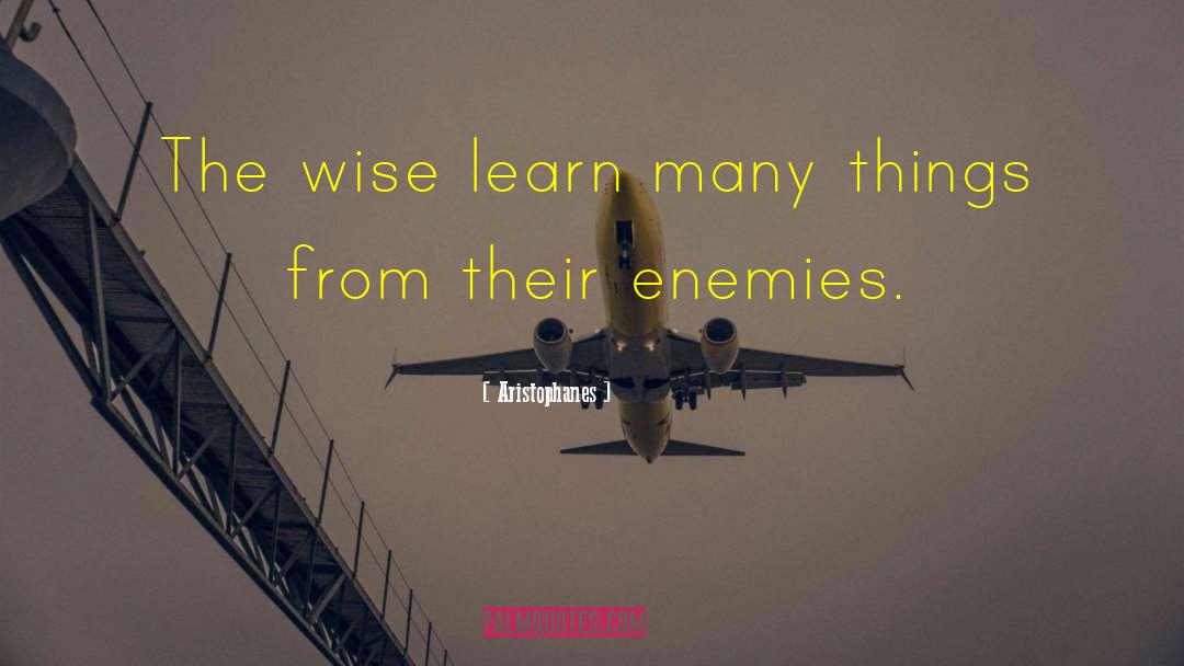 Aristophanes Quotes: The wise learn many things