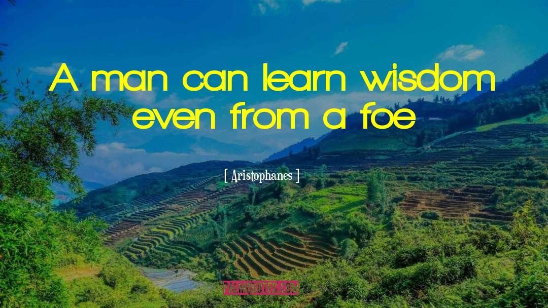 Aristophanes Quotes: A man can learn wisdom