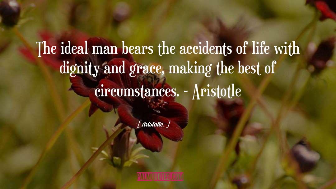 Aristotle. Quotes: The ideal man bears the