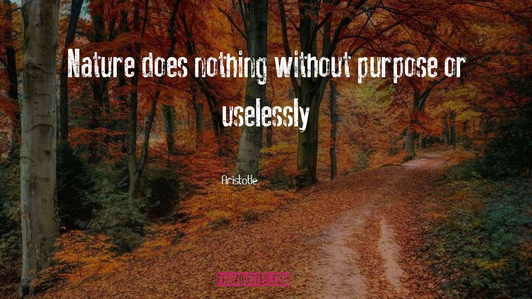 Aristotle. Quotes: Nature does nothing without purpose