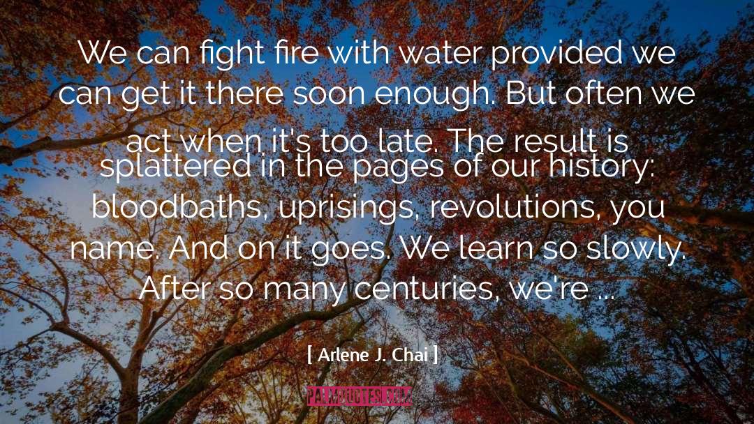 Arlene J. Chai Quotes: We can fight fire with