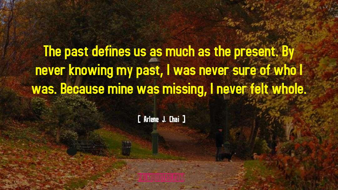 Arlene J. Chai Quotes: The past defines us as