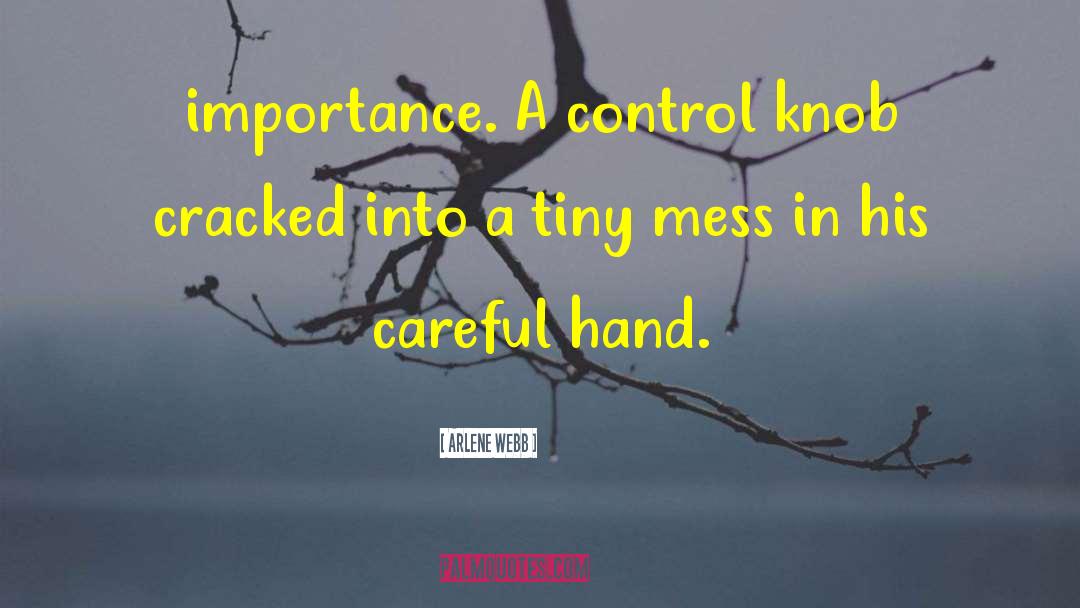 Arlene Webb Quotes: importance. A control knob cracked