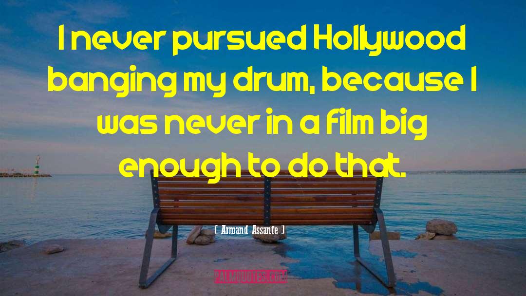 Armand Assante Quotes: I never pursued Hollywood banging
