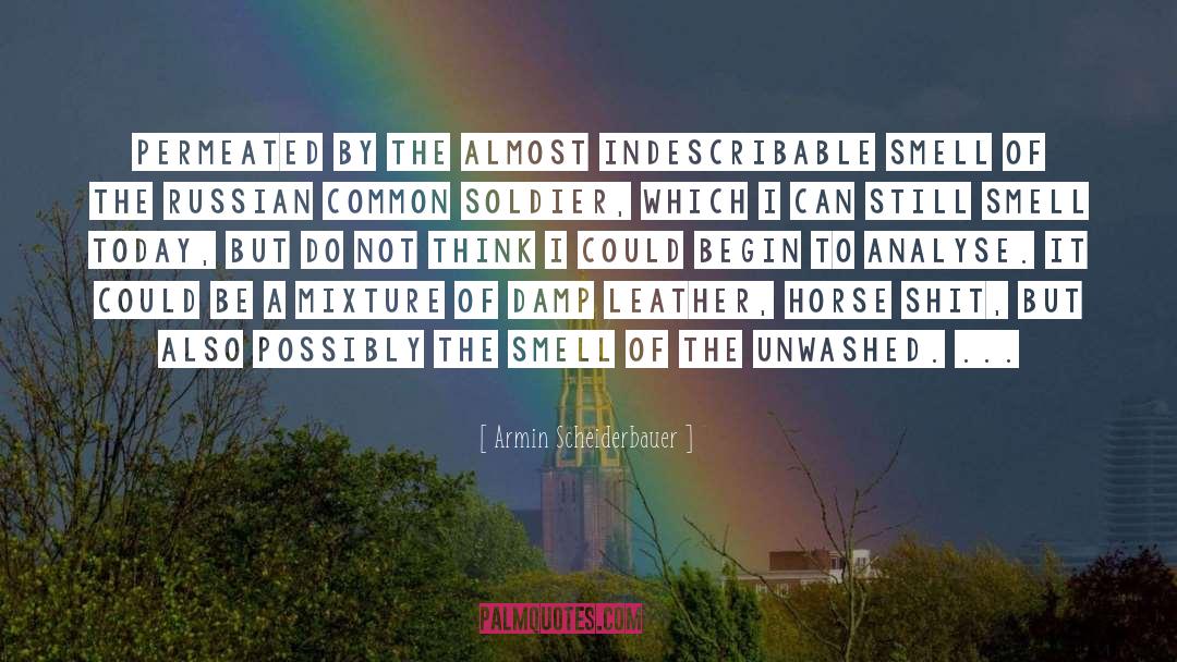 Armin Scheiderbauer Quotes: permeated by the almost indescribable