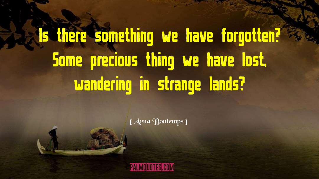 Arna Bontemps Quotes: Is there something we have