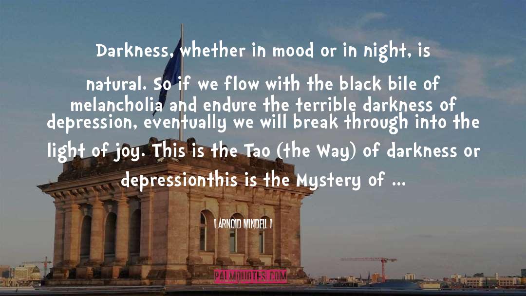 Arnold Mindell Quotes: Darkness, whether in mood or