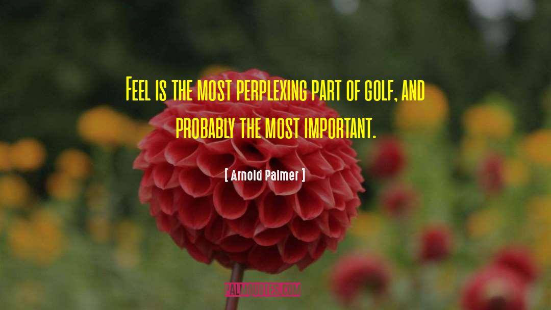 Arnold Palmer Quotes: Feel is the most perplexing