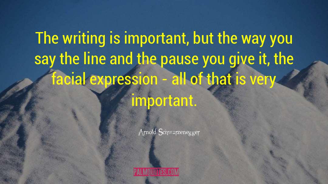 Arnold Schwarzenegger Quotes: The writing is important, but