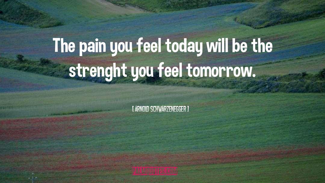Arnold Schwarzenegger Quotes: The pain you feel today