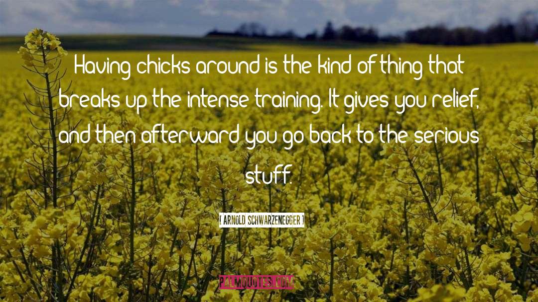 Arnold Schwarzenegger Quotes: Having chicks around is the