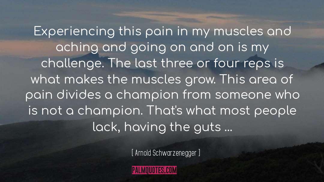 Arnold Schwarzenegger Quotes: Experiencing this pain in my
