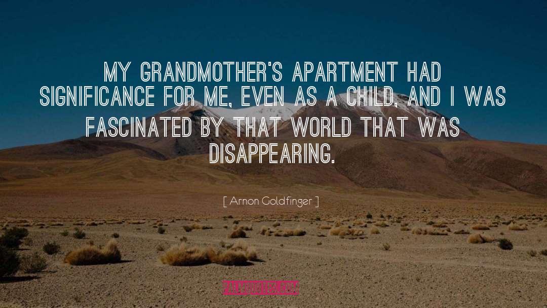 Arnon Goldfinger Quotes: My grandmother's apartment had significance