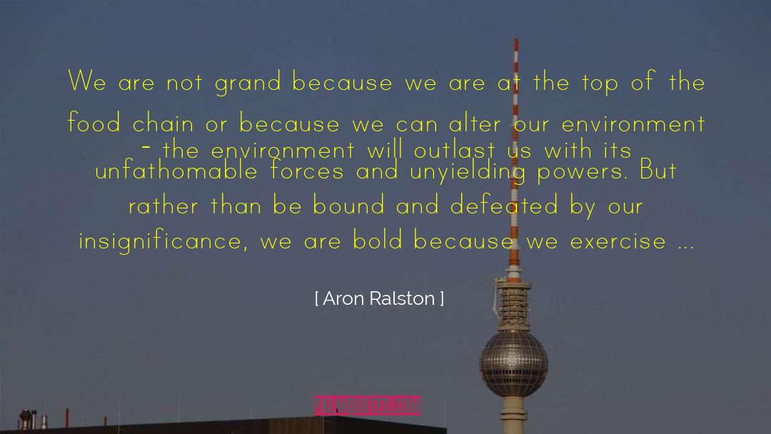 Aron Ralston Quotes: We are not grand because