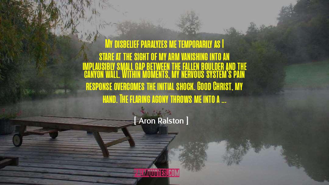 Aron Ralston Quotes: My disbelief paralyzes me temporarily