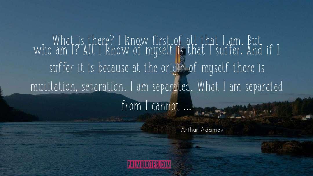 Arthur Adamov Quotes: What is there? I know