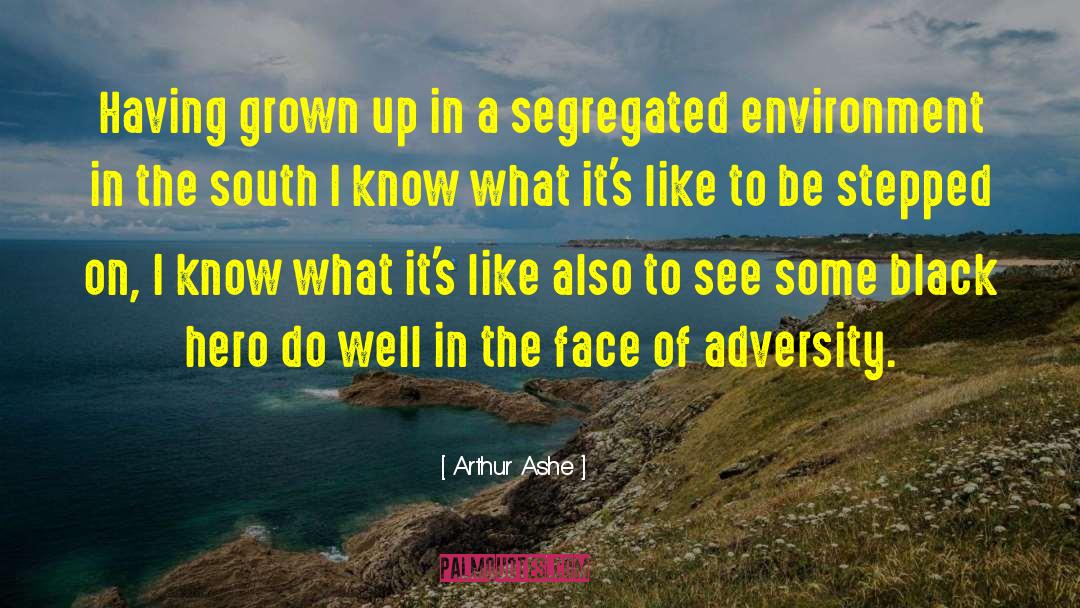 Arthur Ashe Quotes: Having grown up in a