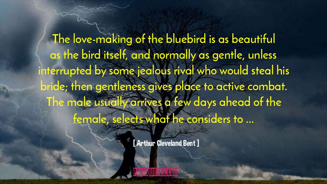 Arthur Cleveland Bent Quotes: The love-making of the bluebird