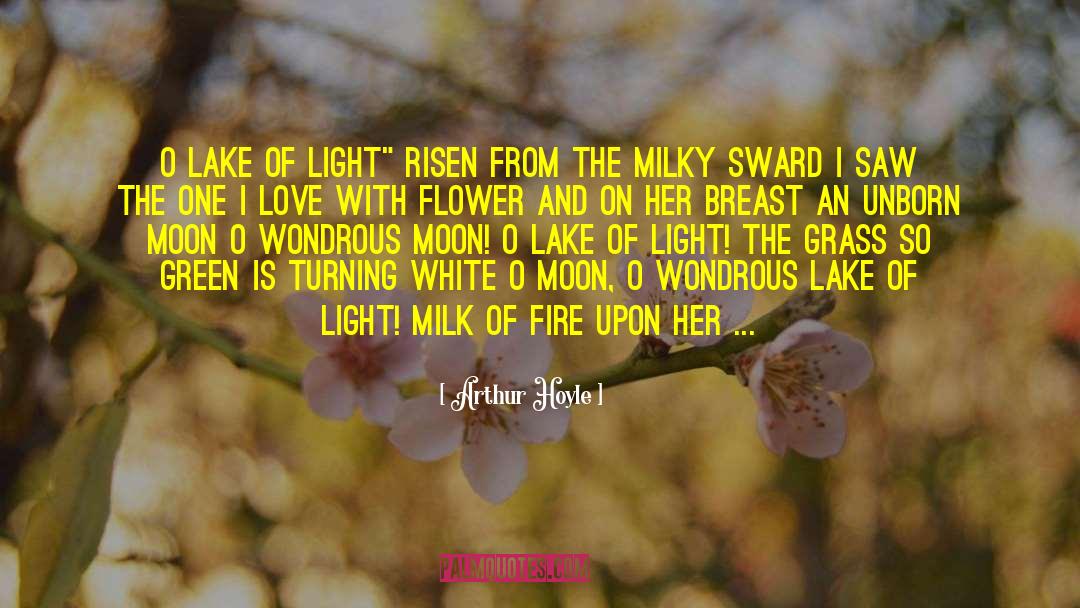 Arthur Hoyle Quotes: O LAKE OF LIGHT