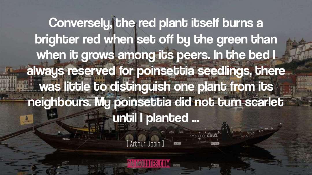 Arthur Japin Quotes: Conversely, the red plant itself