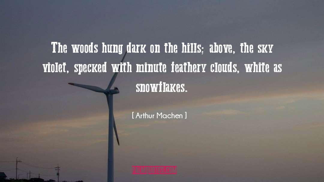 Arthur Machen Quotes: The woods hung dark on
