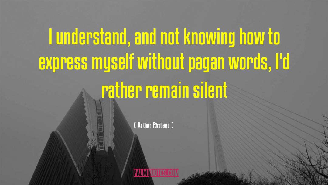 Arthur Rimbaud Quotes: I understand, and not knowing