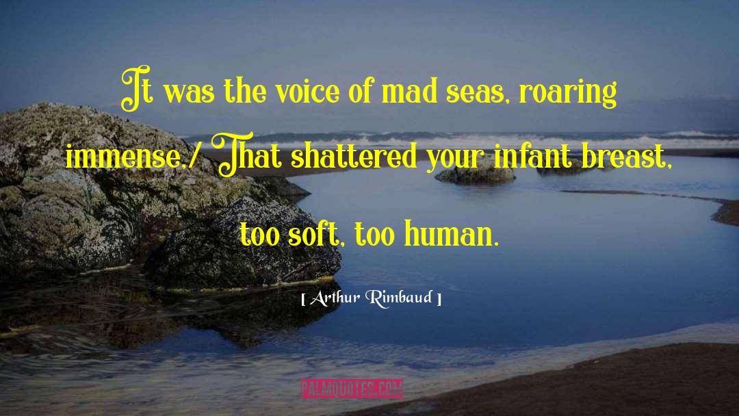 Arthur Rimbaud Quotes: It was the voice of