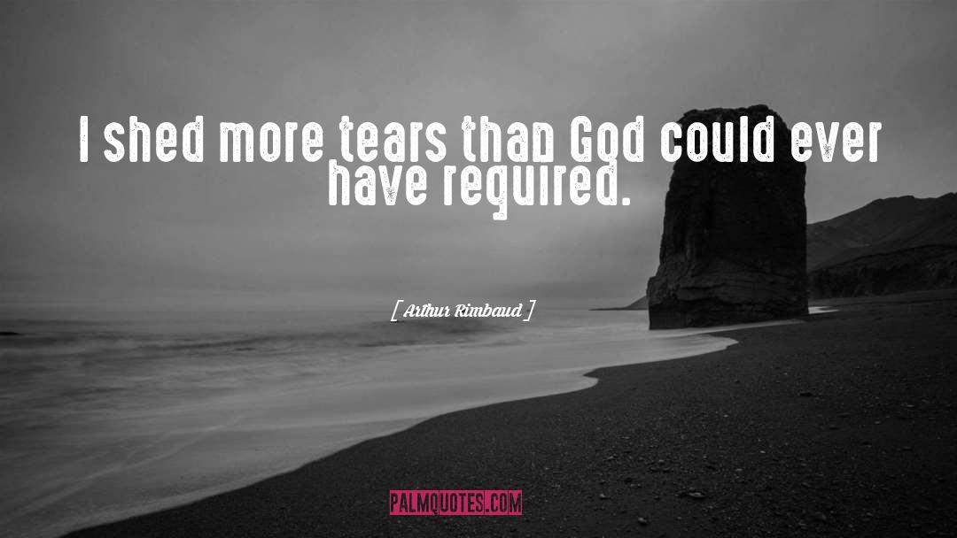 Arthur Rimbaud Quotes: I shed more tears than