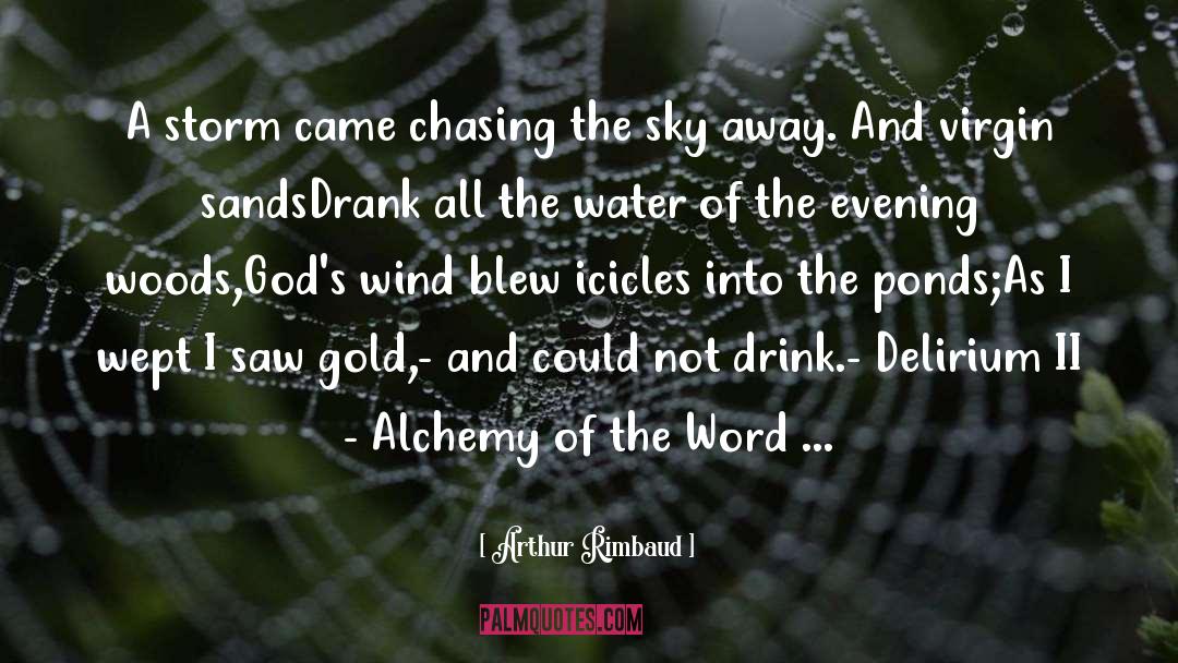 Arthur Rimbaud Quotes: A storm came chasing the