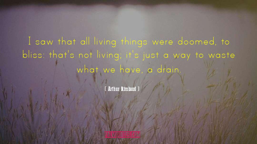 Arthur Rimbaud Quotes: I saw that all living