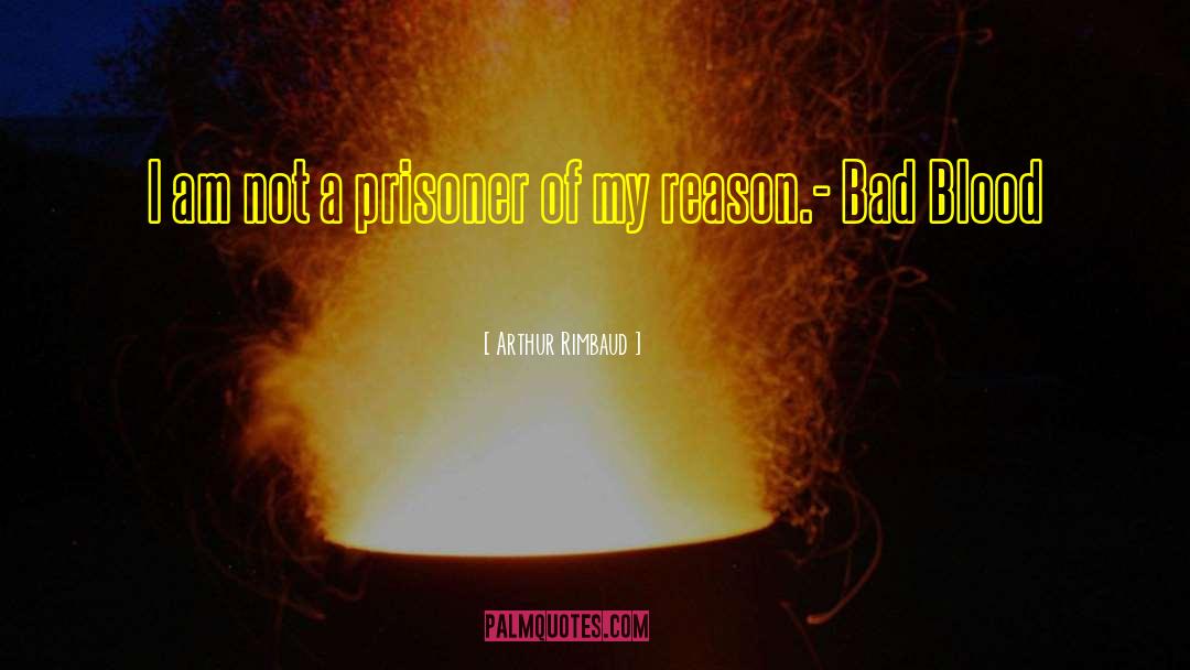Arthur Rimbaud Quotes: I am not a prisoner