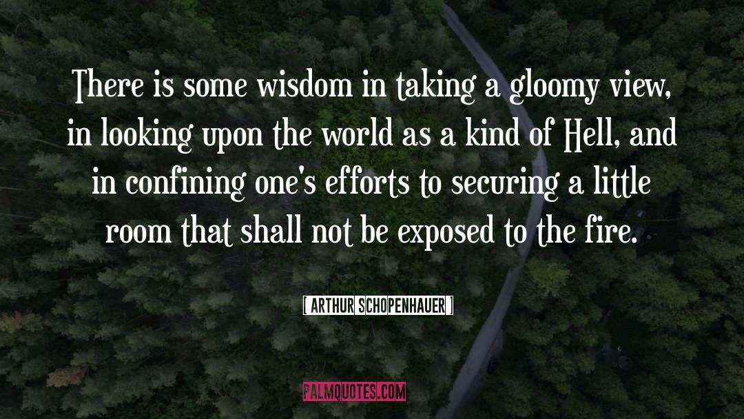 Arthur Schopenhauer Quotes: There is some wisdom in