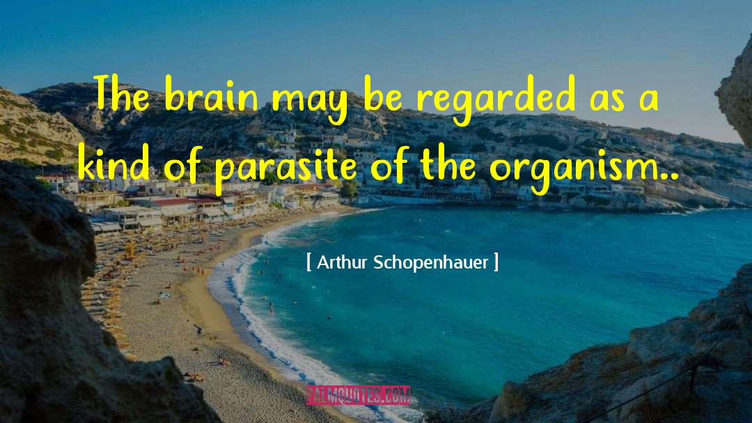 Arthur Schopenhauer Quotes: The brain may be regarded