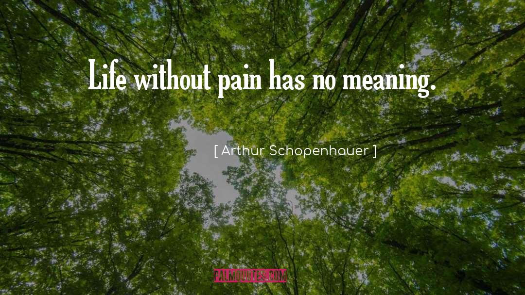 Arthur Schopenhauer Quotes: Life without pain has no