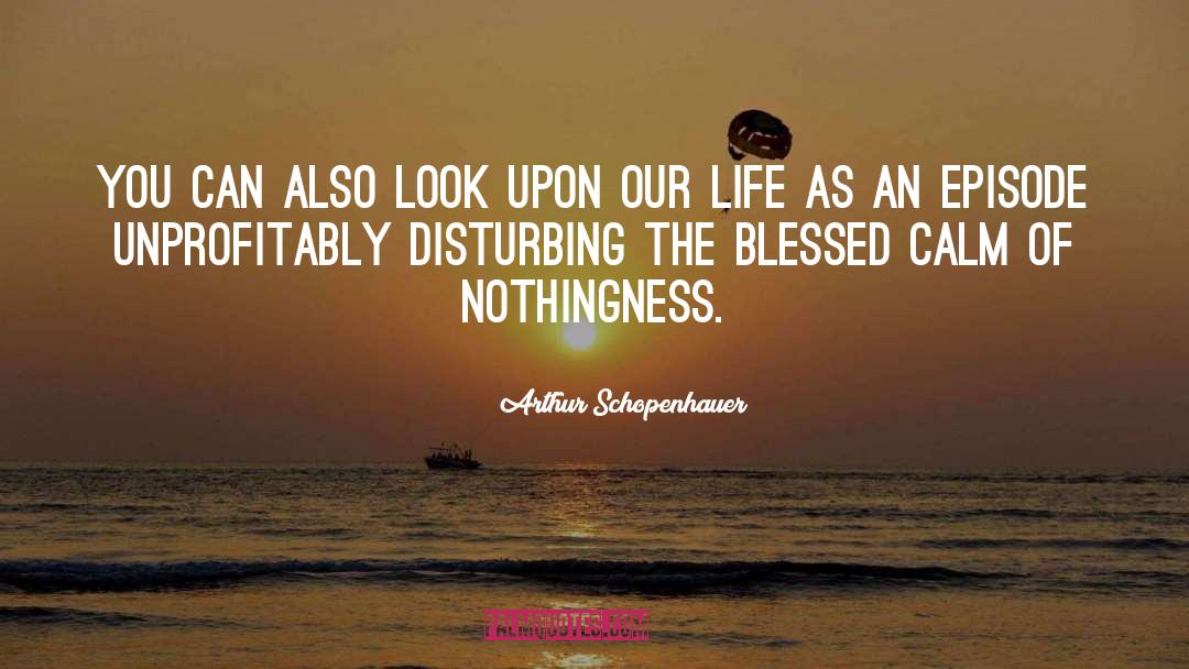 Arthur Schopenhauer Quotes: You can also look upon