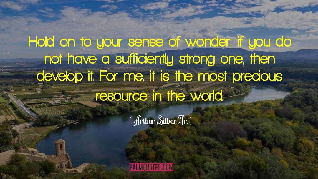 Arthur Silber Jr. Quotes: Hold on to your sense