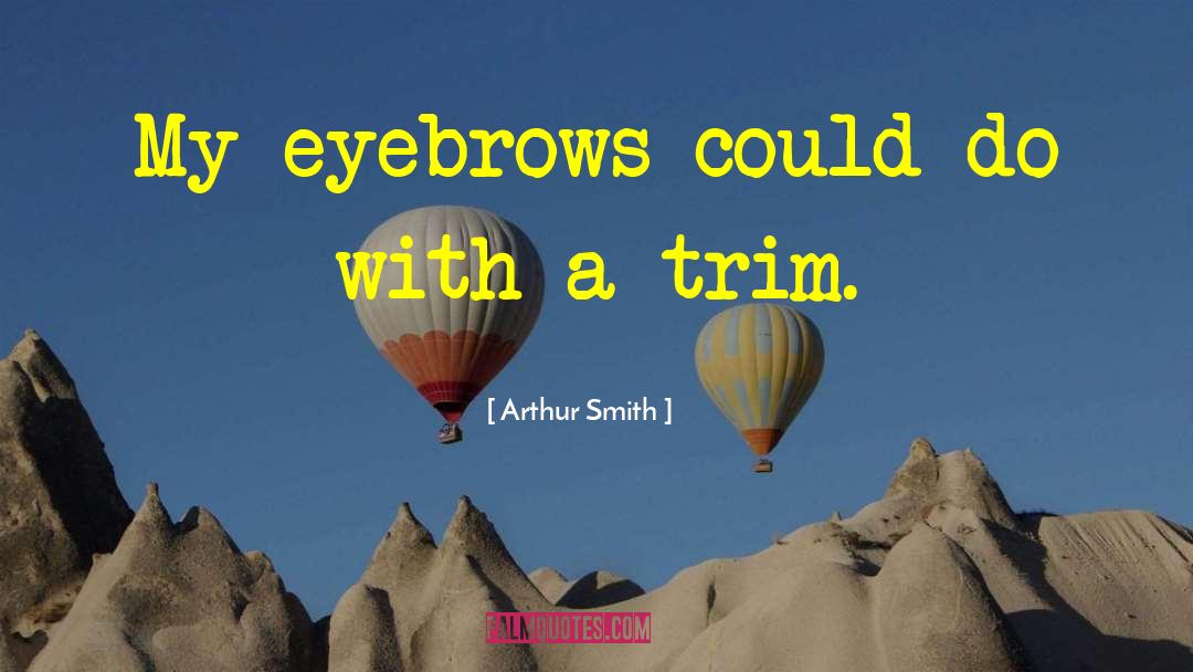 Arthur Smith Quotes: My eyebrows could do with